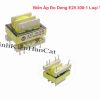 Biến Áp Đo Dòng E25 300:1 Loại To