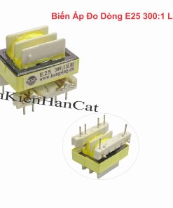Biến Áp Đo Dòng E25 300:1 Loại To