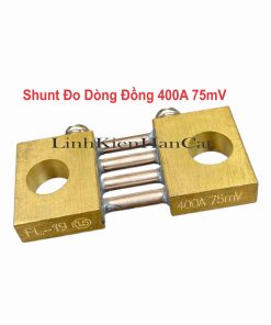 Shunt Đo Dòng Đồng 400A 75mV
