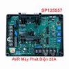 AVR Máy Phát Điện 20A