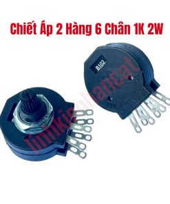 Chiết Áp 2 Hàng 6 Chân 1K 2W