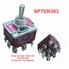 Công Tắc Gạt 3 Nấc 303 ON-OFF-ON 9 Chân Ốc 15A 380VAC